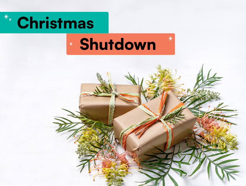 Christmas shutdown 2024